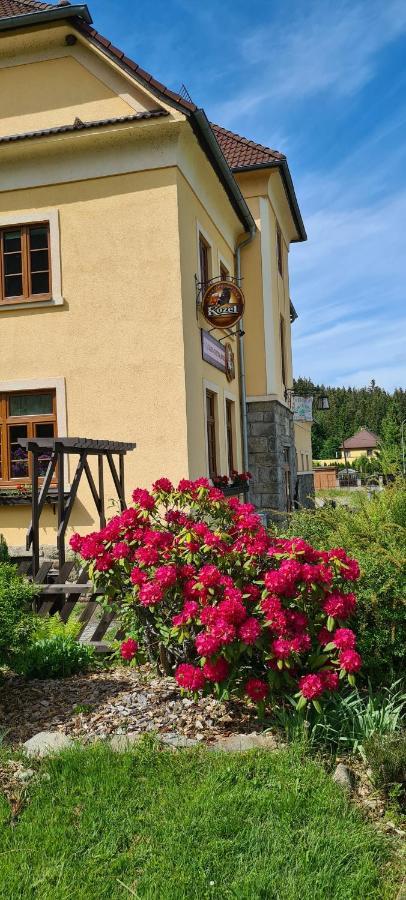 Pension Pod Lipou Loucovice Exterior photo